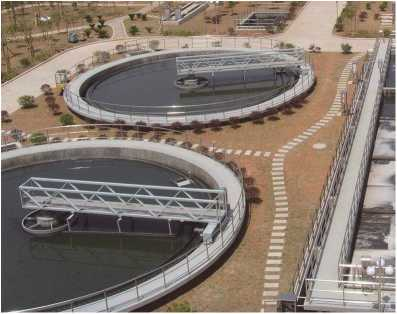 ZBXN型週邊(bian)傳動(dong)半橋(qiao)虹(hong)吸(xi)式(shi)吸(xi)泥機(ji)