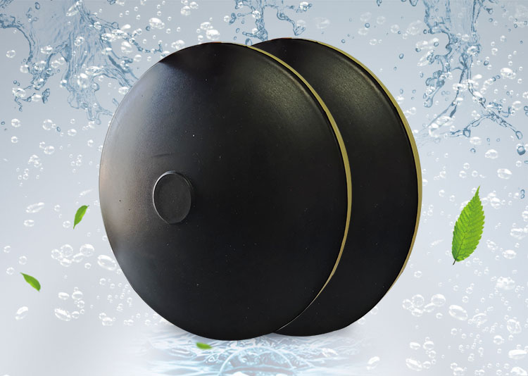 BPB薄盤型(xing)盤式(shi)曝(pu)氣器